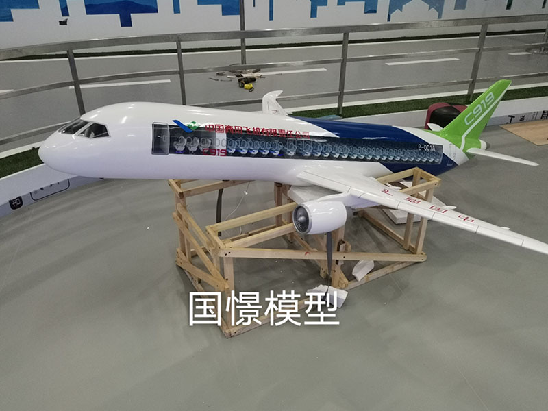 海阳市飞机模型