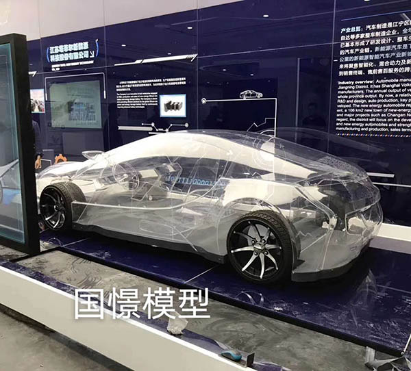 海阳市透明车模型